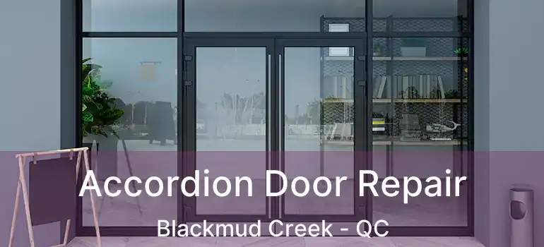  Accordion Door Repair Blackmud Creek - QC