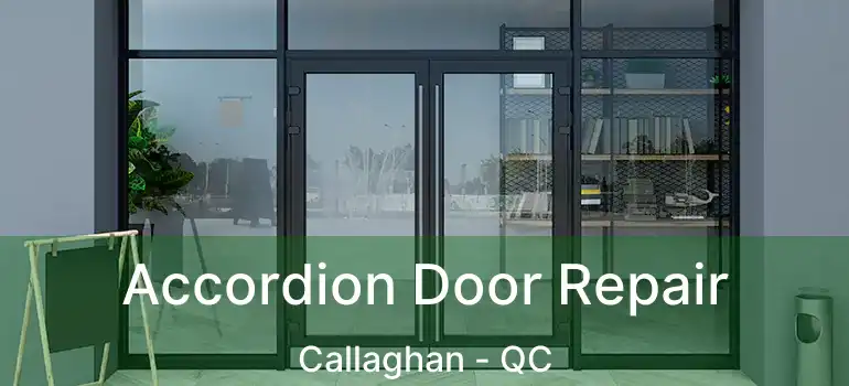  Accordion Door Repair Callaghan - QC