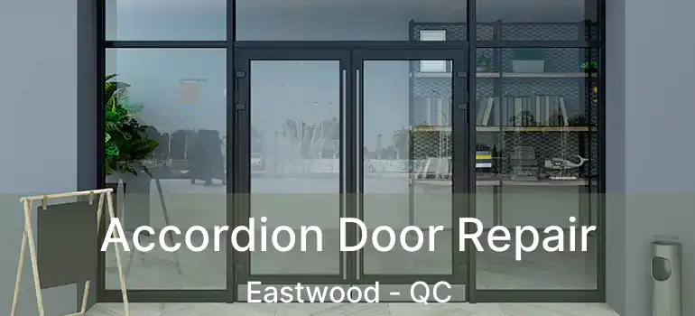  Accordion Door Repair Eastwood - QC