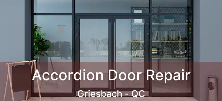  Accordion Door Repair Griesbach - QC