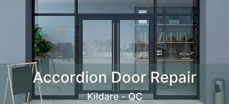  Accordion Door Repair Kildare - QC