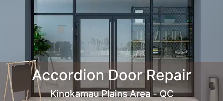  Accordion Door Repair Kinokamau Plains Area - QC