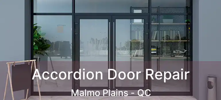  Accordion Door Repair Malmo Plains - QC