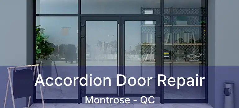  Accordion Door Repair Montrose - QC