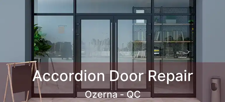  Accordion Door Repair Ozerna - QC