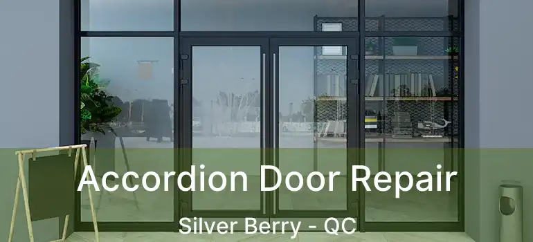  Accordion Door Repair Silver Berry - QC