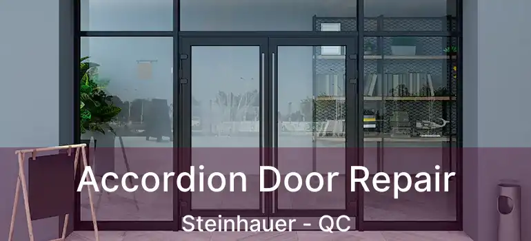  Accordion Door Repair Steinhauer - QC