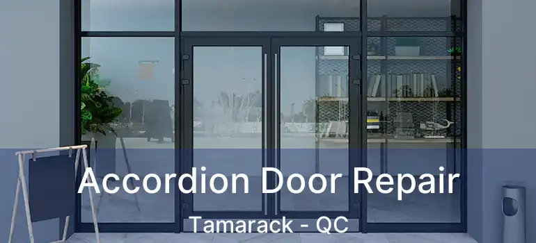  Accordion Door Repair Tamarack - QC