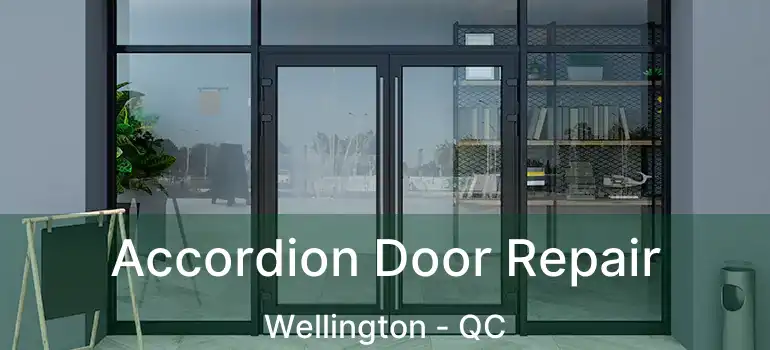  Accordion Door Repair Wellington - QC