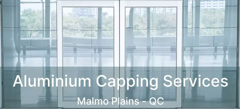  Aluminium Capping Services Malmo Plains - QC
