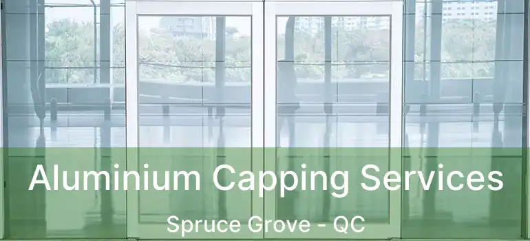  Aluminium Capping Services Spruce Grove - QC