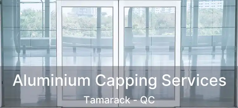 Aluminium Capping Services Tamarack - QC