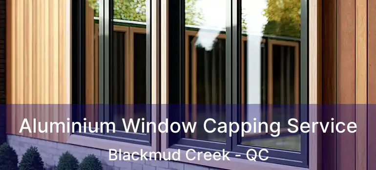  Aluminium Window Capping Service Blackmud Creek - QC