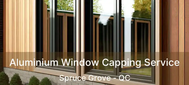  Aluminium Window Capping Service Spruce Grove - QC