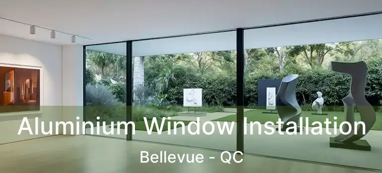  Aluminium Window Installation Bellevue - QC