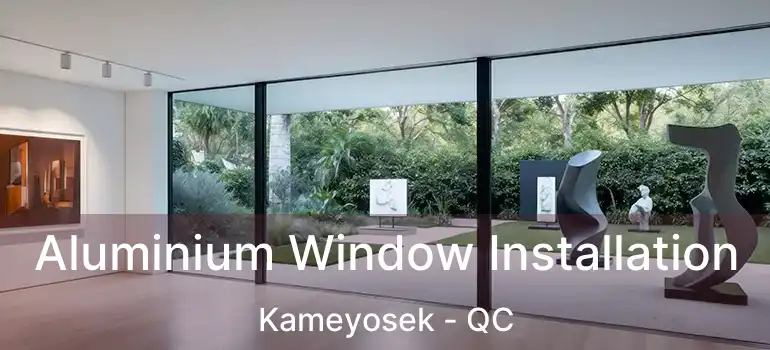  Aluminium Window Installation Kameyosek - QC