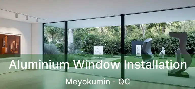  Aluminium Window Installation Meyokumin - QC