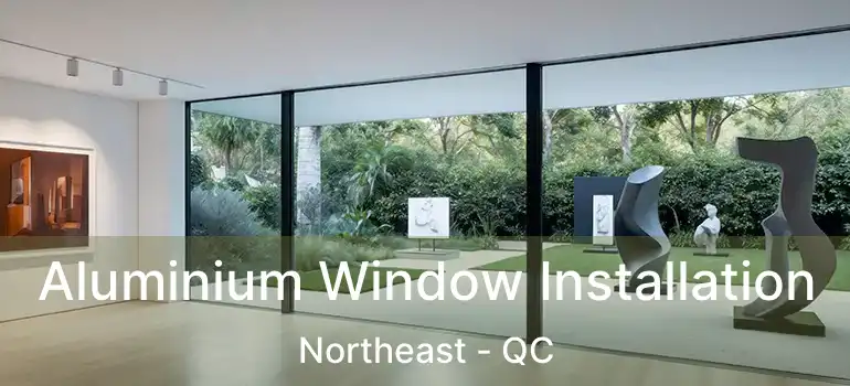  Aluminium Window Installation Northeast - QC