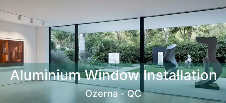  Aluminium Window Installation Ozerna - QC