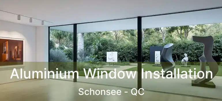  Aluminium Window Installation Schonsee - QC