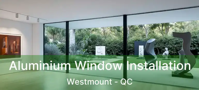  Aluminium Window Installation Westmount - QC