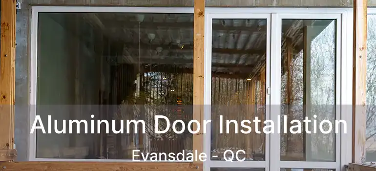  Aluminum Door Installation Evansdale - QC