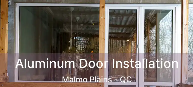  Aluminum Door Installation Malmo Plains - QC
