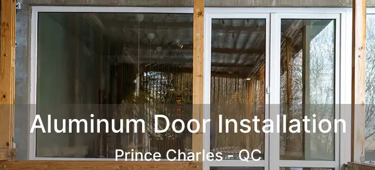  Aluminum Door Installation Prince Charles - QC