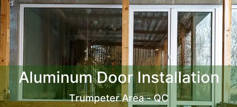  Aluminum Door Installation Trumpeter Area - QC