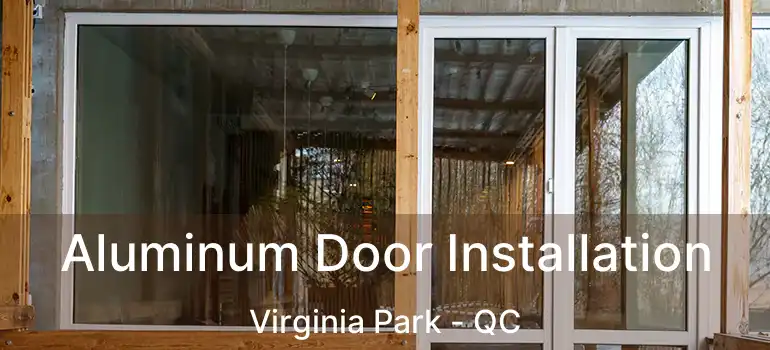  Aluminum Door Installation Virginia Park - QC