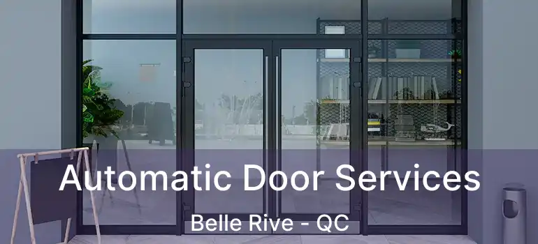  Automatic Door Services Belle Rive - QC