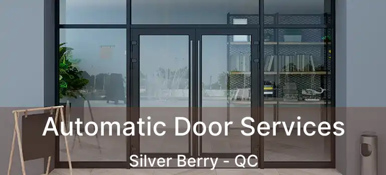  Automatic Door Services Silver Berry - QC