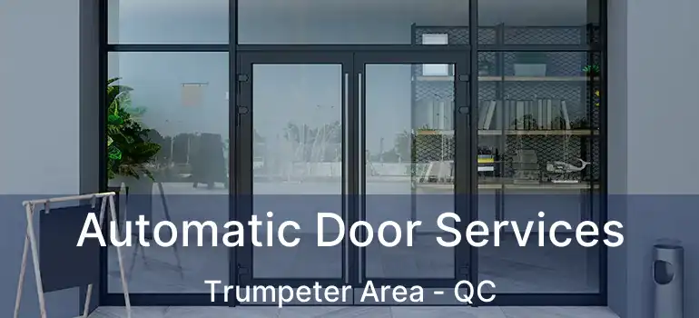  Automatic Door Services Trumpeter Area - QC