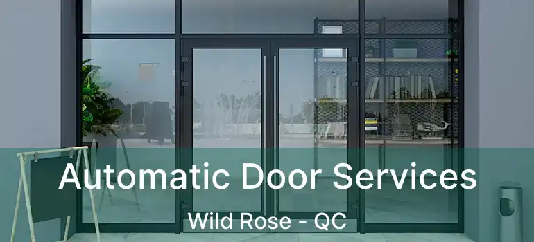  Automatic Door Services Wild Rose - QC