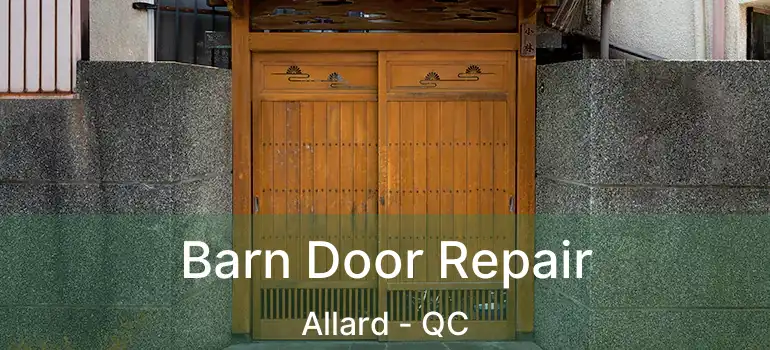  Barn Door Repair Allard - QC