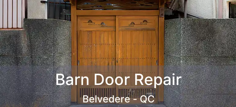  Barn Door Repair Belvedere - QC