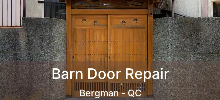  Barn Door Repair Bergman - QC