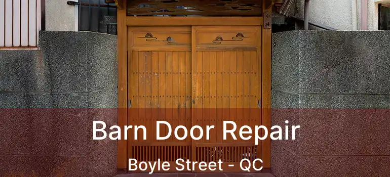  Barn Door Repair Boyle Street - QC