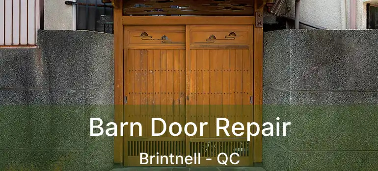  Barn Door Repair Brintnell - QC