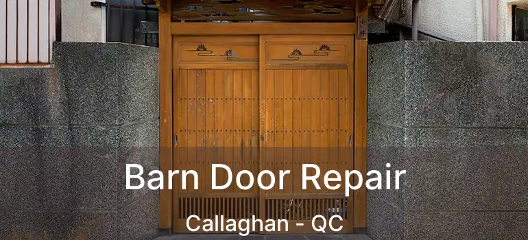  Barn Door Repair Callaghan - QC