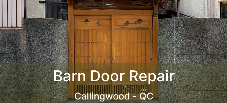  Barn Door Repair Callingwood - QC