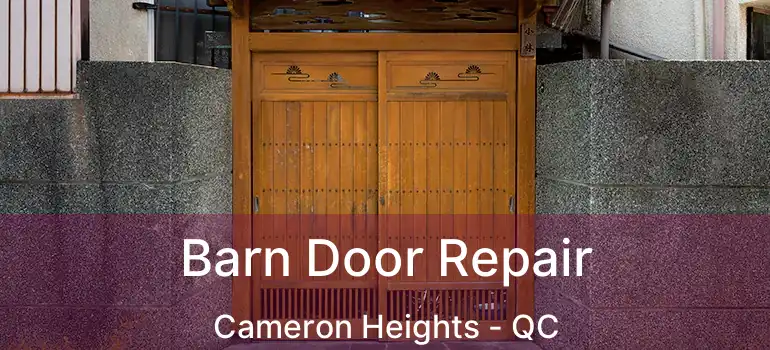  Barn Door Repair Cameron Heights - QC