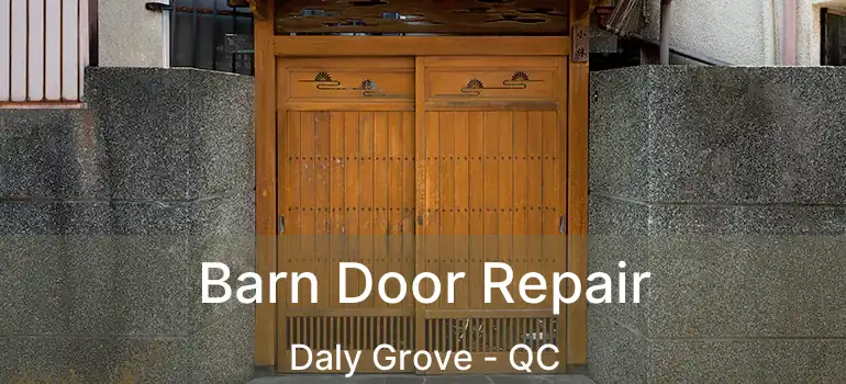  Barn Door Repair Daly Grove - QC