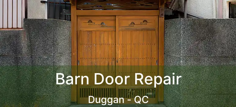  Barn Door Repair Duggan - QC