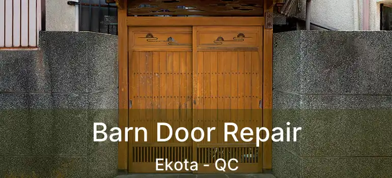  Barn Door Repair Ekota - QC