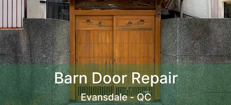  Barn Door Repair Evansdale - QC