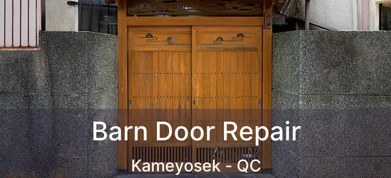  Barn Door Repair Kameyosek - QC