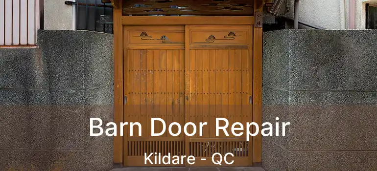  Barn Door Repair Kildare - QC