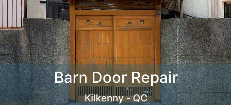  Barn Door Repair Kilkenny - QC