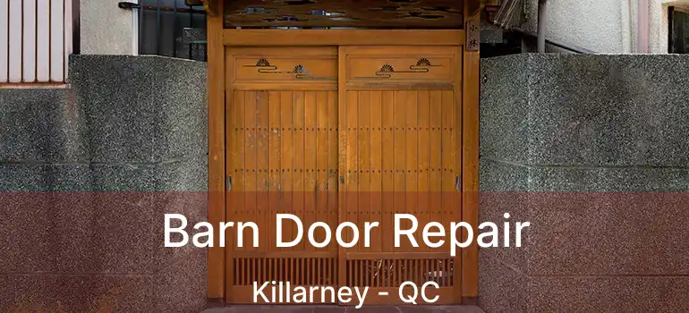  Barn Door Repair Killarney - QC